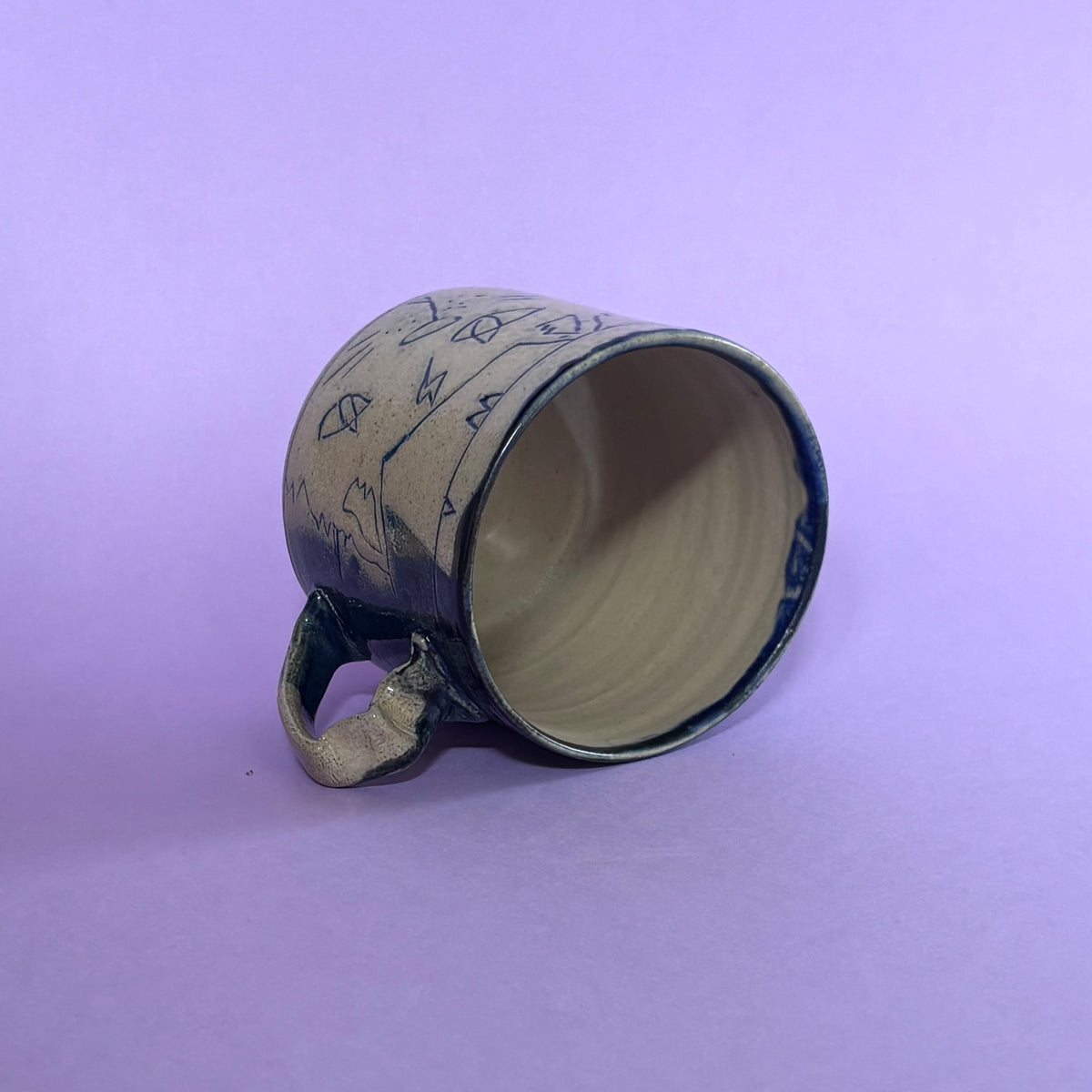 Dense cat mug