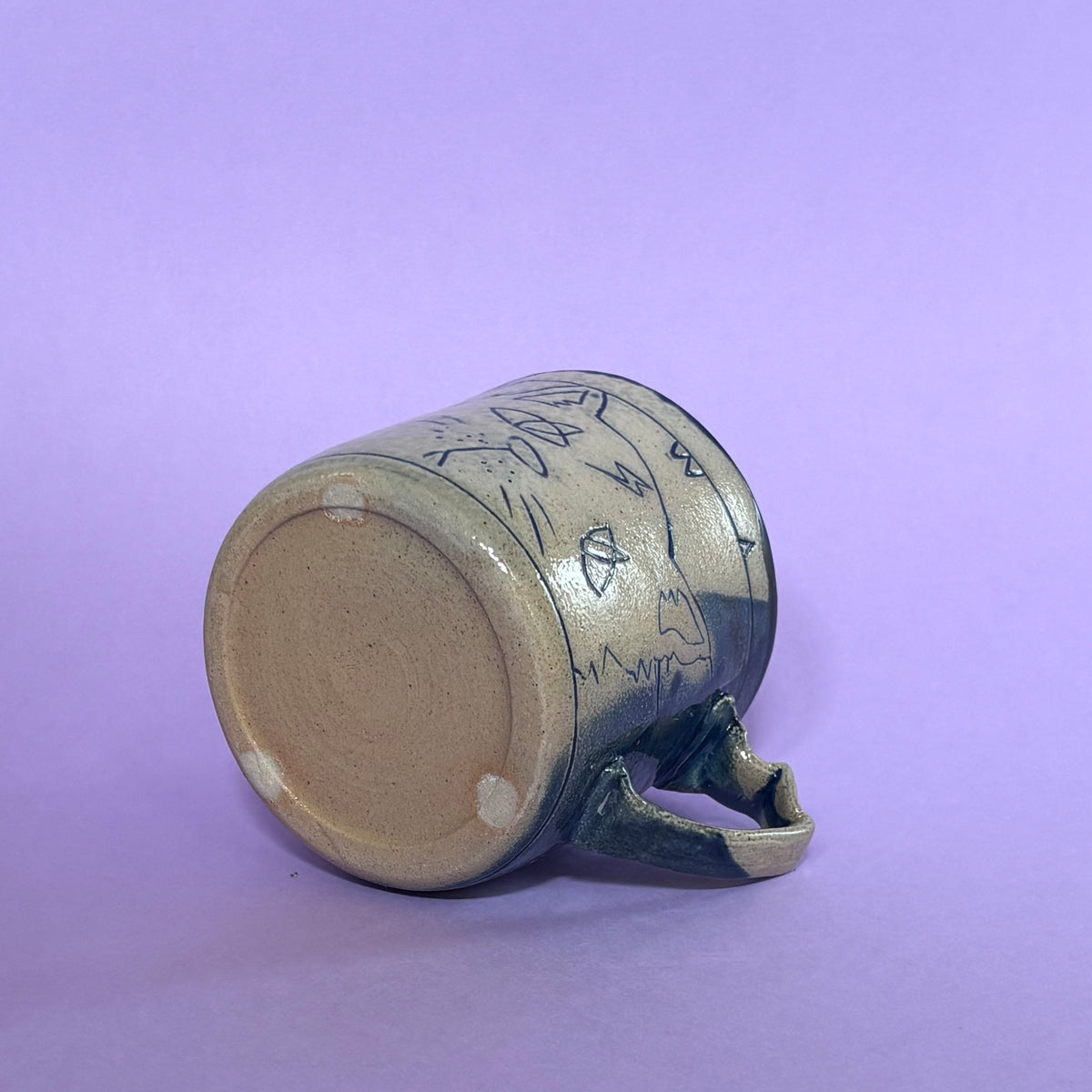 Dense cat mug