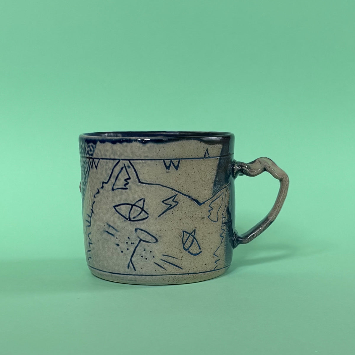 Dense cat mug