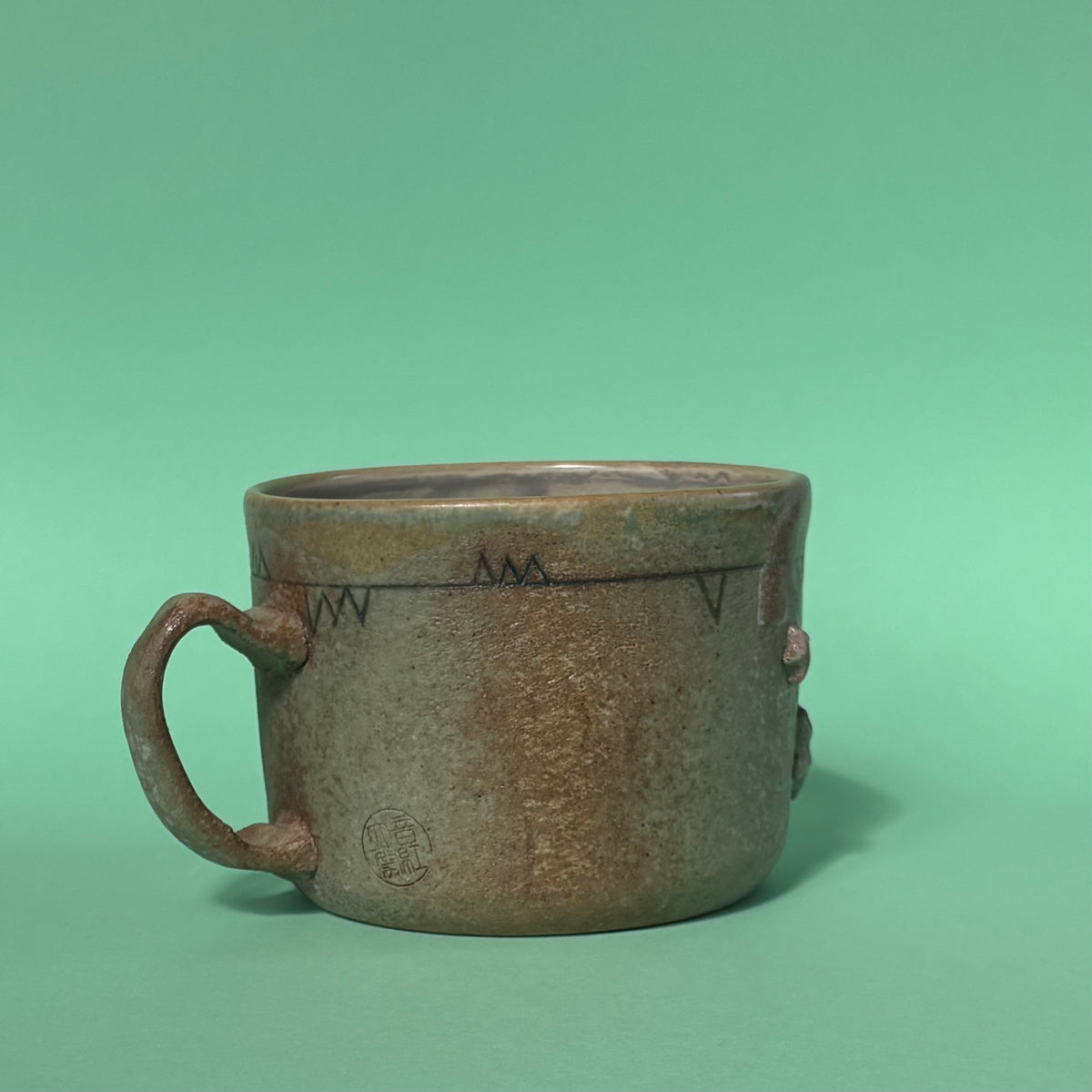 Shameless cat mug