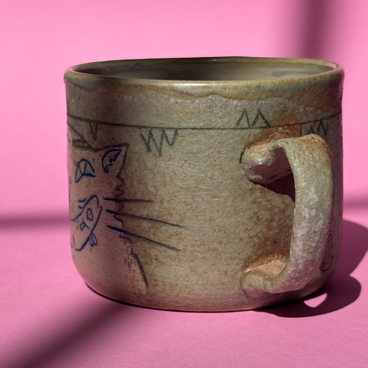 Shameless cat mug