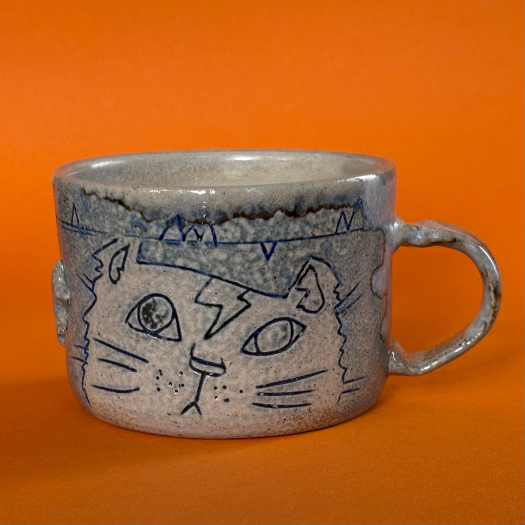 Frazzled cat mug